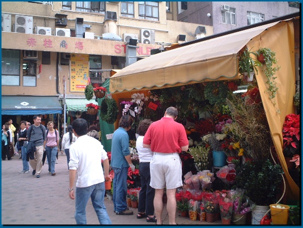 602x451 pixels (156K)